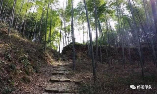 鸦山古道