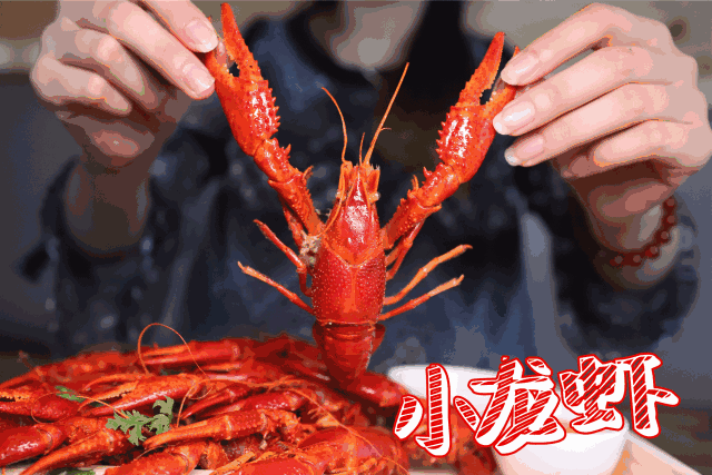 一天狂卖500 斤龙虾的店,终于来南京了!