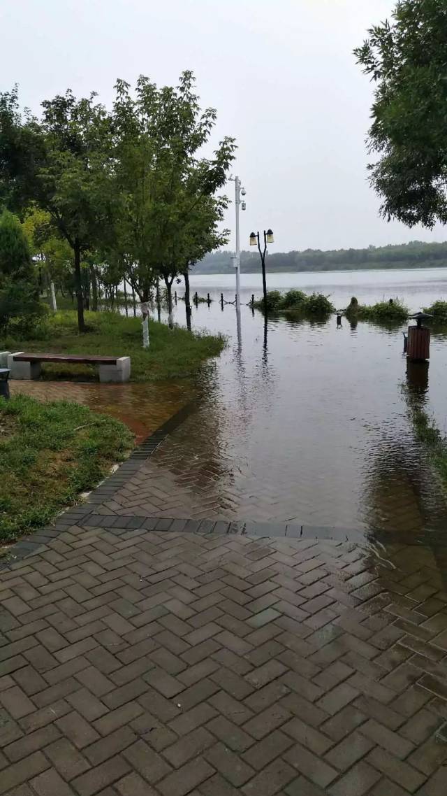 燕郊大雨过后潮白河水位上涨,别只顾看景,小心丢了命!