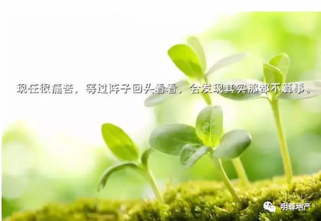 当你足够优秀时,你想要的一切都会来找你!