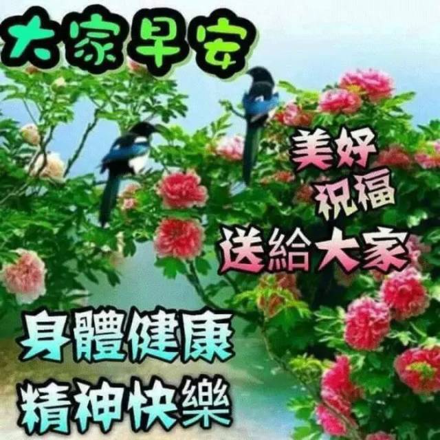 特别漂亮早上好问候动态表情图 最美早安问候动画图片