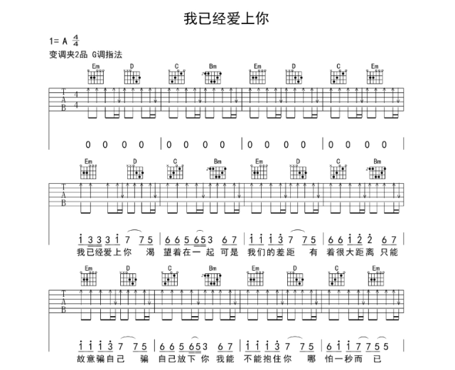 大宅猫吉他教程分享《我已经爱上你》吉他谱九局