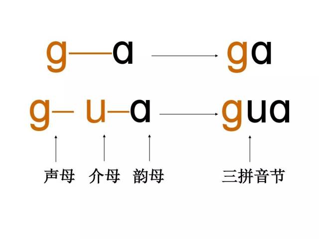 声母 介母 韵母 三拼音节  拼读方法:声轻,介快,韵母响,三拼连读很顺