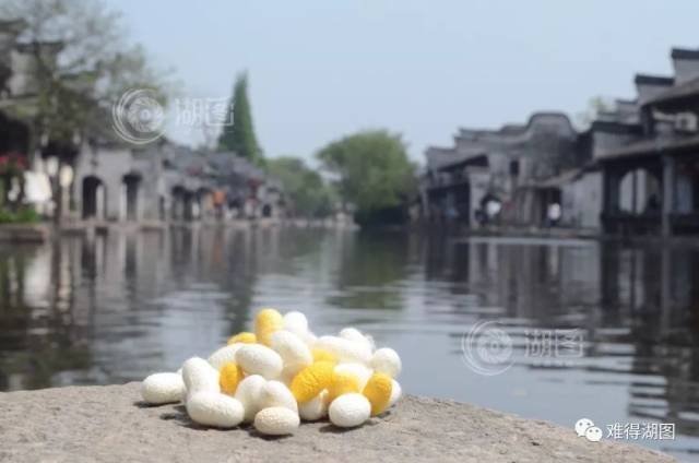 好机会!你的照片可能被湖州城市规划馆收藏