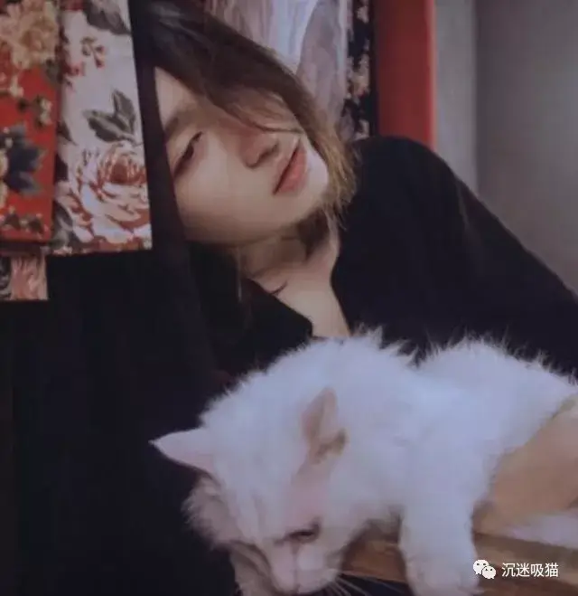 养猫的女孩哪个不是优雅的女王?