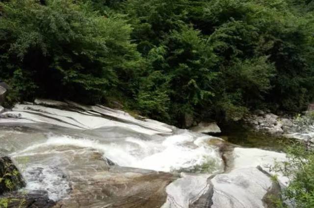 老河沟自然风景优美,天然植被类型丰富,动植物资源种类多样,被专家称