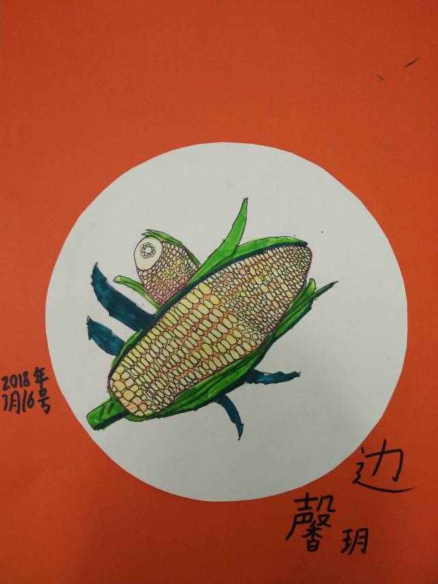 少儿创意美术《大玉米》,孩子们画的玉米棒子真是千姿