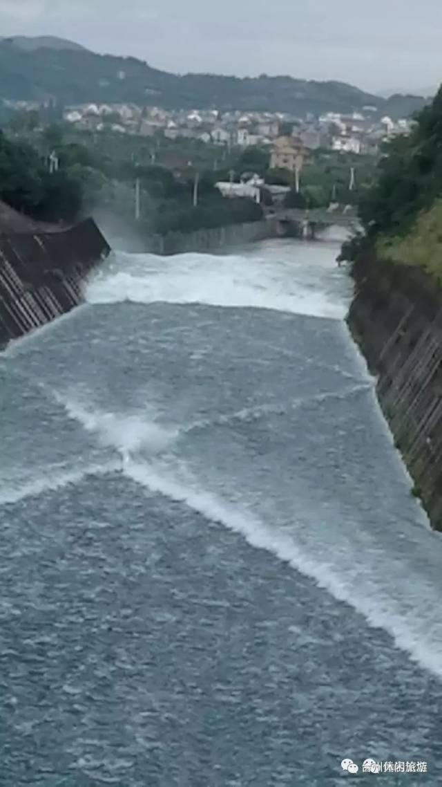 直击黄岩长潭水库泄洪现场,冲出好多鱼!