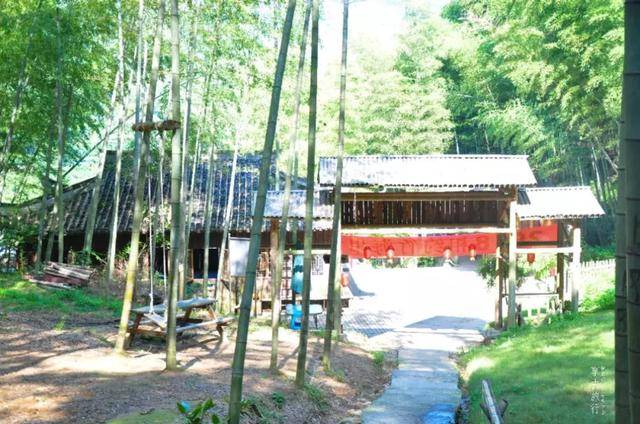 流水行走在其中 清澈凉爽 浙东大竹海————景区地址:宁波市海曙区