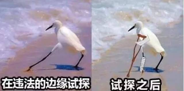 酒精检测仪都测不出？刷爆朋友圈的“解酒神器＂真有效吗