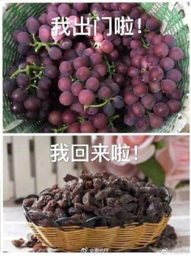 吐槽天气热表情包:木材变木炭,葡萄变葡萄干