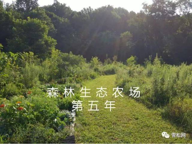 森林生态农场的中美实例