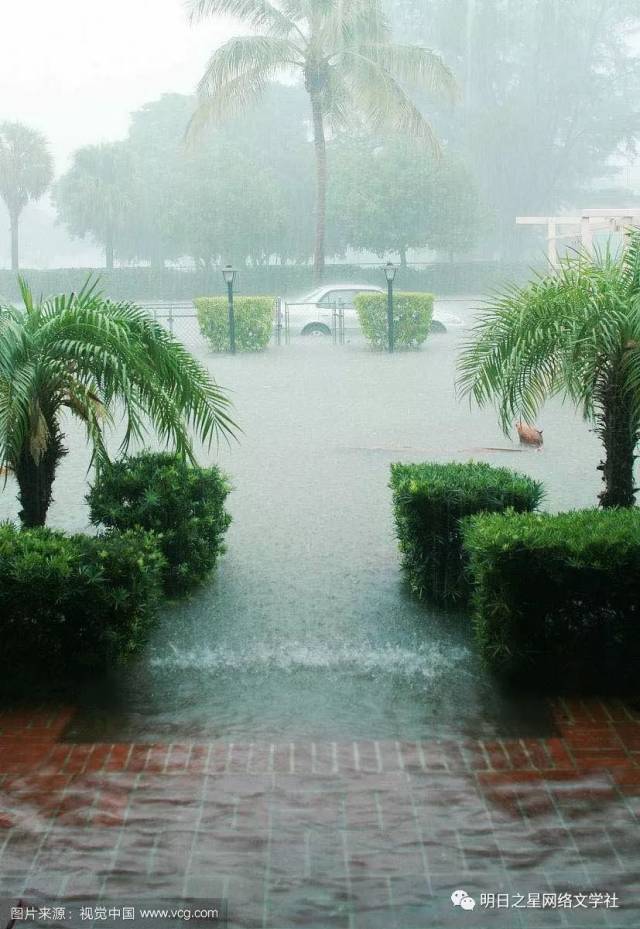 【湖南】陈俊杰《夏天的雨》指导老师:彭令飞