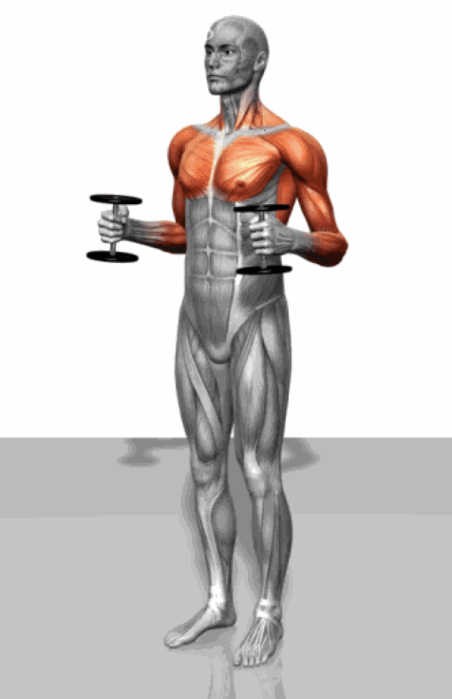 健康丨为什么女生要练肌肉! 因为我要永远年轻貌美!