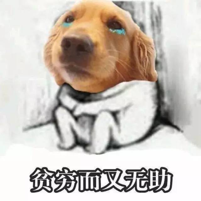 七夕一过穷如狗,总是不如别家男朋友,赚大钱的不单单要靠勤奋啊!