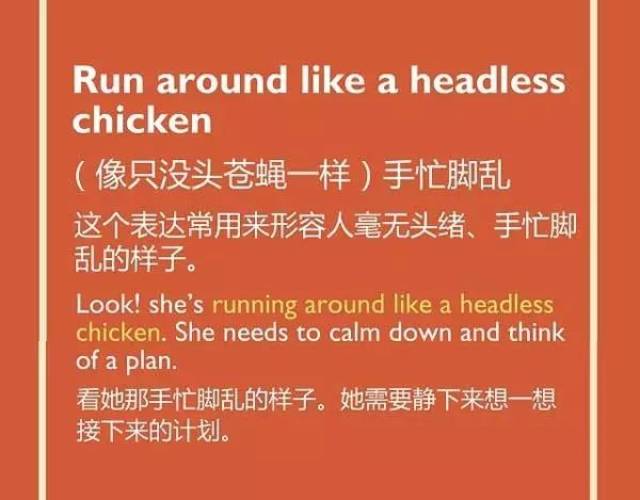 五种英语表达说"鸡"