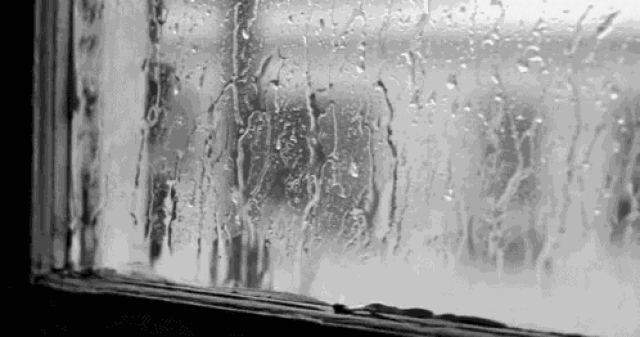 【科普】为什么一到下雨天就睡得特别香?是因为