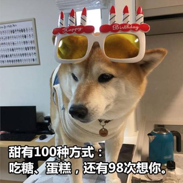 柴犬撩妹表情包:你知道我最喜欢什么制服吗?被你制服