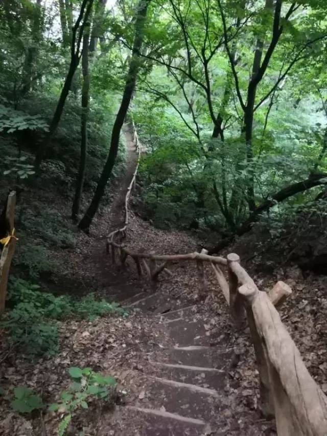 梅河口市鸡冠山景区即日起对全国公安民警免费