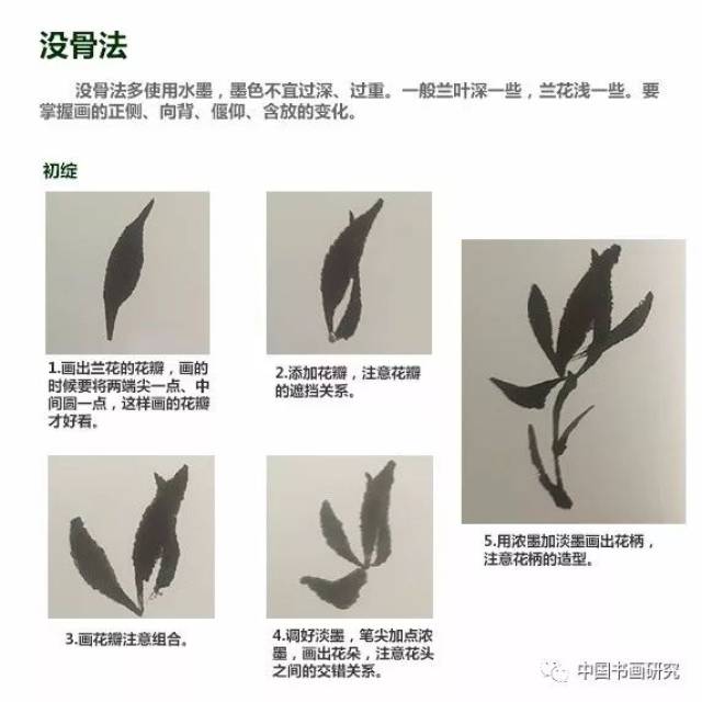 国画 兰花花头画法 技法