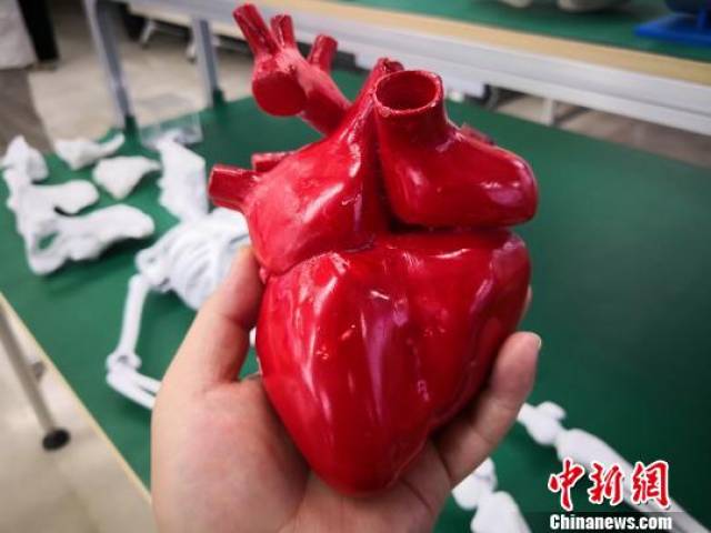 兰州新区现3d打印"骨骼器官" 直观解疑破医疗服务窘境