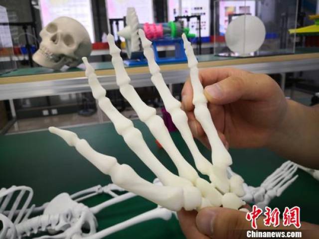 兰州新区现3d打印"骨骼器官" 直观解疑破医疗服务窘境