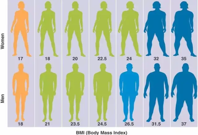 然后,把你算出来的bmi数值衡量一下就知道你是否肥胖啦.
