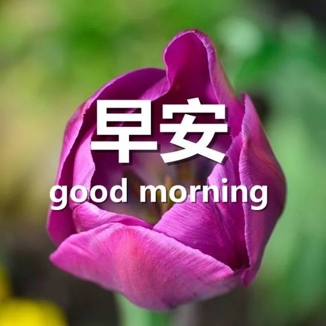 ȦϺͼƬ 簲̾˵˵