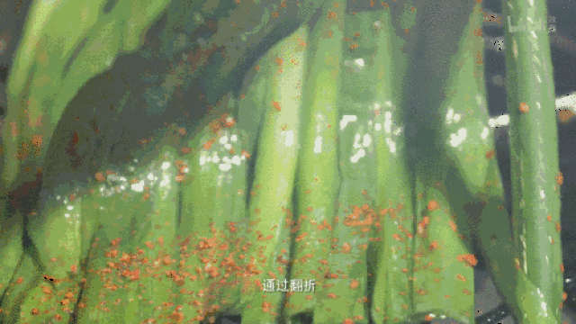 499_281gif 动态图 动图