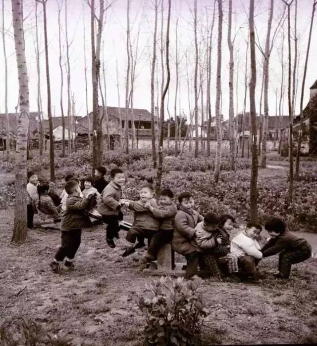时光倒流四十年,从老照片看镇海教育变迁