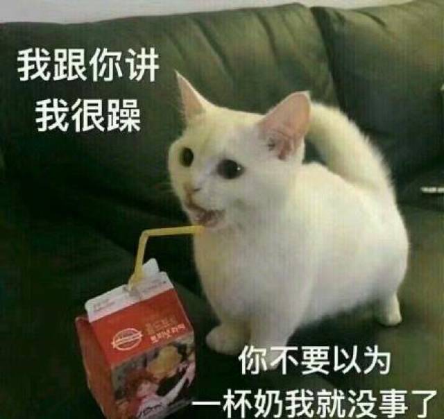 看我这么可爱的份上,你就放过我吧 人家就想粘着你 图片来自网络
