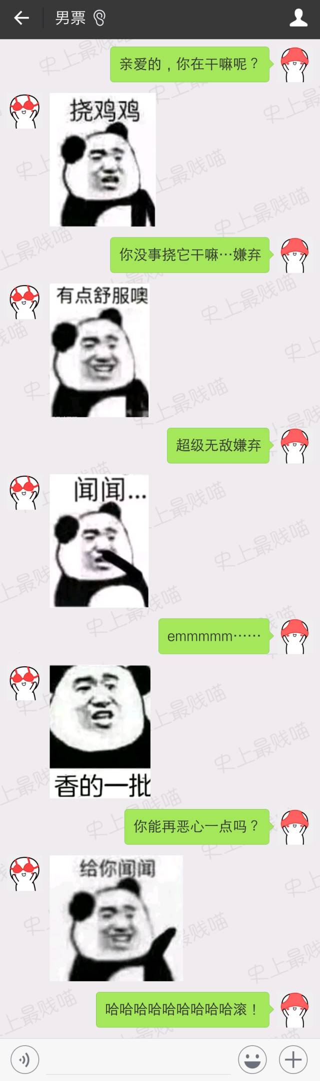 除了各种涨姿势的骚操作 彦祖喵这里还拥有各式各样沙雕表情包 只有