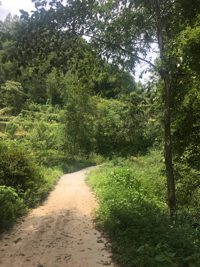 一条小路