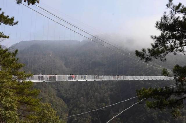 【玉环旅友户外】8月26日挑战华东第一玻璃桥 磐安灵江源森林公园