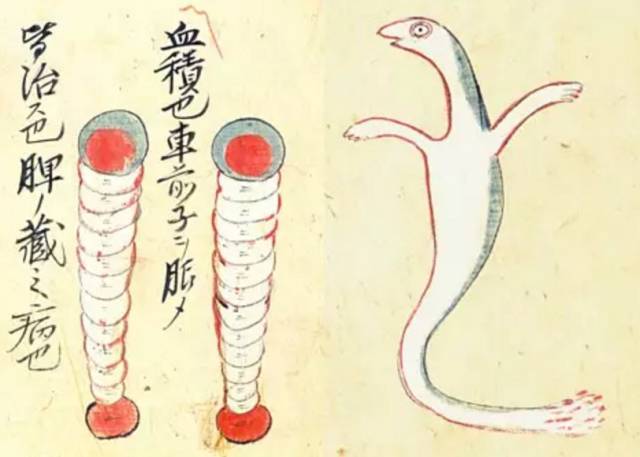 古代日本中医给细菌画了本钢铁,它们长这样!漫画姫漫画兵图片