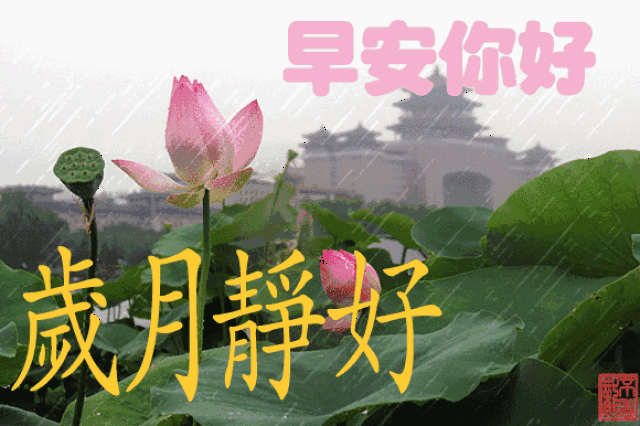 2018Ϻʺ̬ͼ 簲ʺ̬ͼƬ