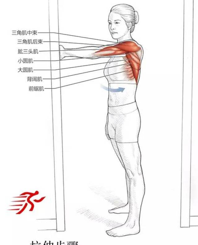 最系统的肩部拉伸运动训练