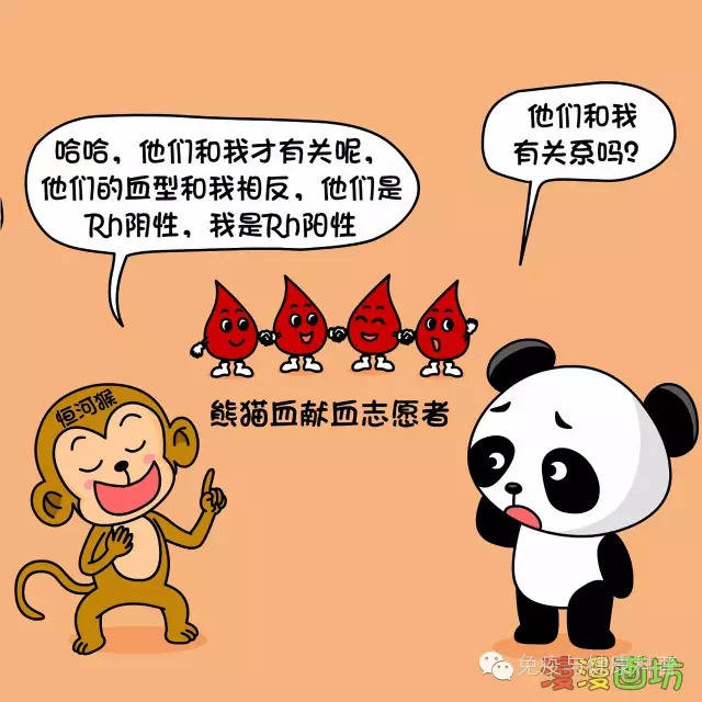 漫话免疫：熊猫血型的妈妈可否生育二胎？
