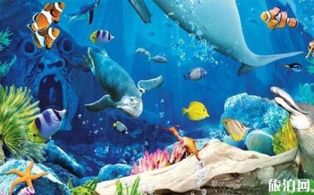 海洋动物排名_海洋动物简笔画