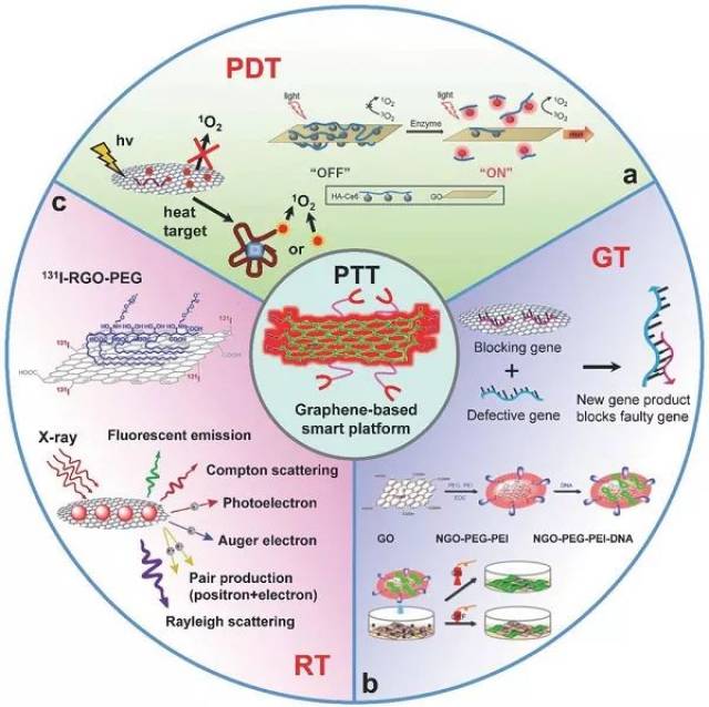 (a) 光动力疗法(pdt)和光热疗法(ptt)结合; (b) 基因治疗(gt)和光热