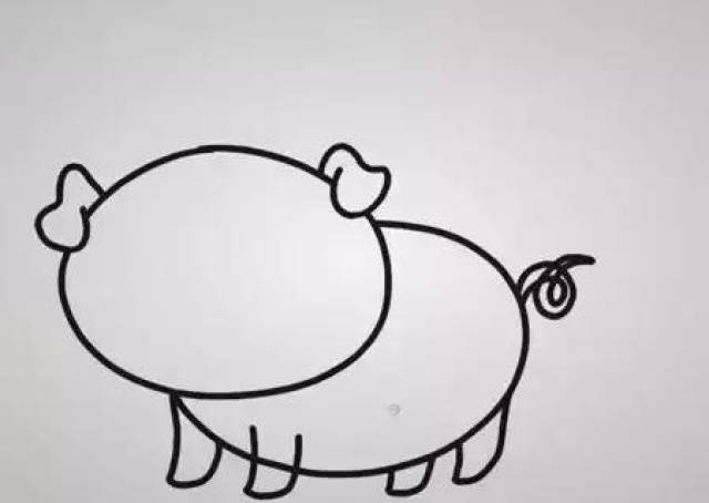 画一个大大的圆形头部,后面一个椭圆是小猪身体,两个又大又卷的猪耳朵