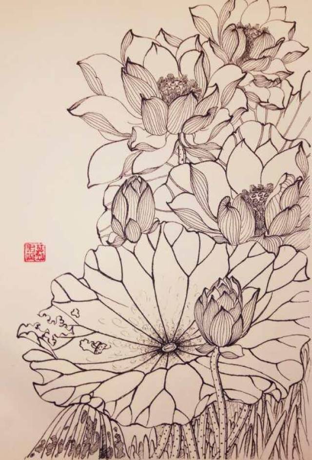 类别:国画 38,叶志军的钢笔画第六百一十三幅—荷花(中性