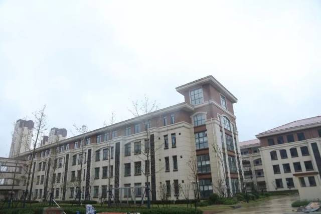 叩开梦想之门 | 创新街小学绿都澜湾校区招生圆满结束