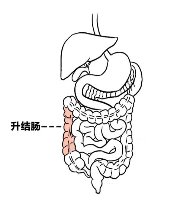 "多喝热水"去你妈的!