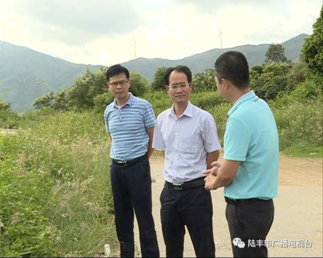 陆丰市长许伟明到金厢镇检查指导新农村建设和防汛工作