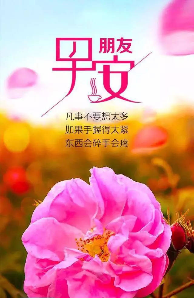 最新漂亮早安励志图片带字 早晨发朋友圈正能量激励人心的句子