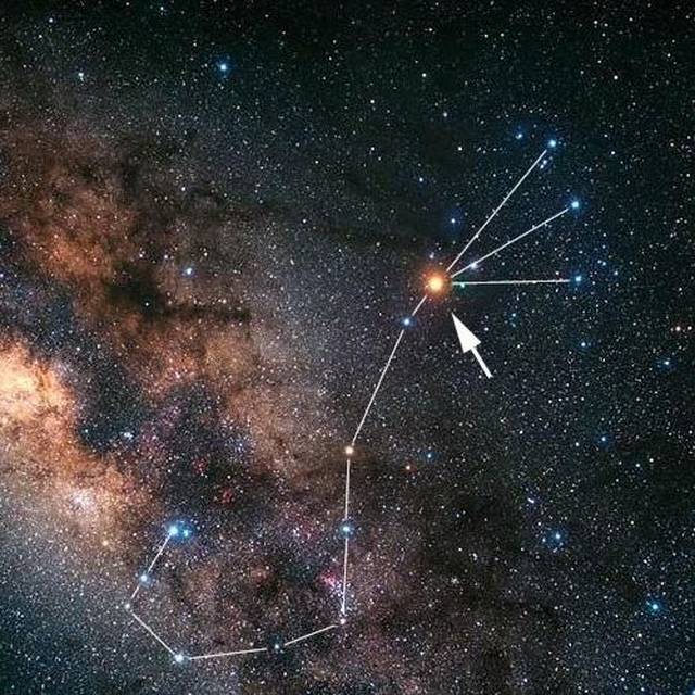 苏珊米勒2019年运势完整版天蝎座-星座频道-手机搜狐白羊座女生看重颜值图片