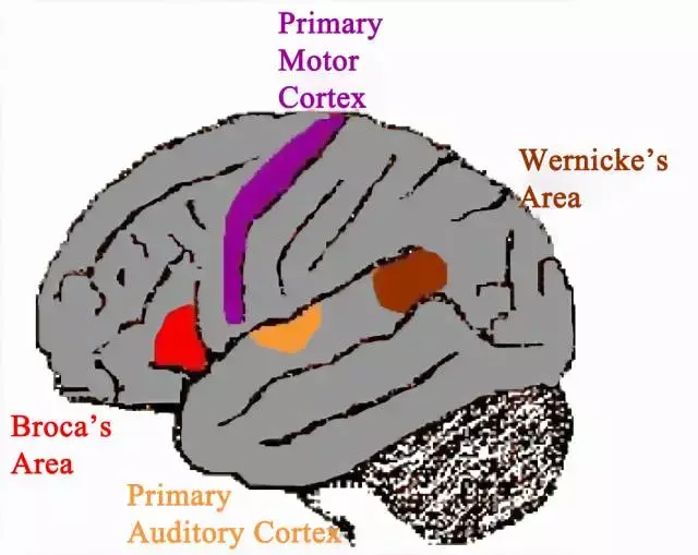 孩子学英语的最佳年龄是几岁?答案出乎很多人意料