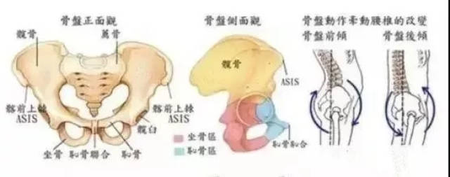 产后骨盆歪斜错位有何危害?如何发现?