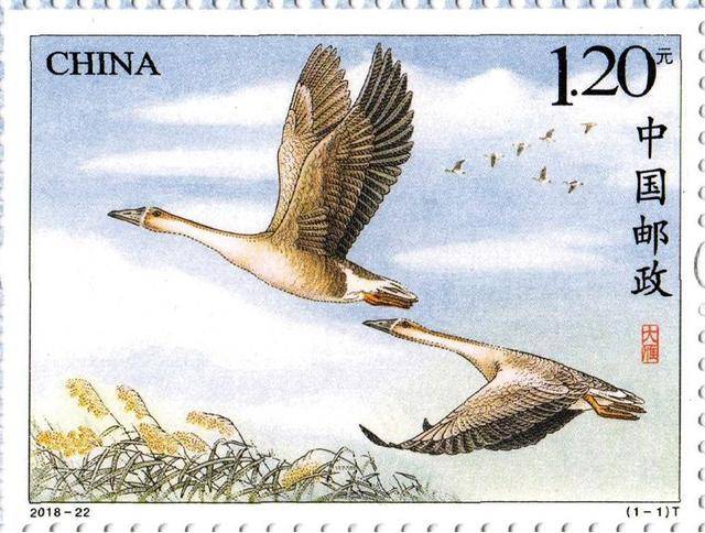 连续13个小时、5场活动,湖北襄阳今天刷屏的大